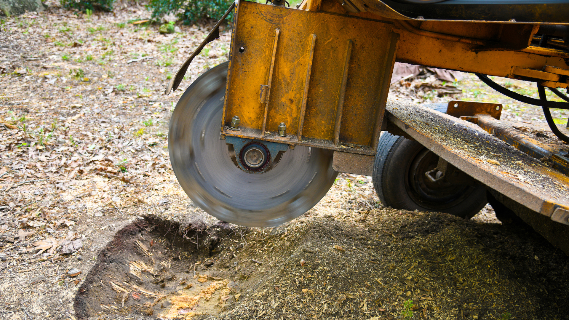 A machine is cutting a tree stump with a circular saw.