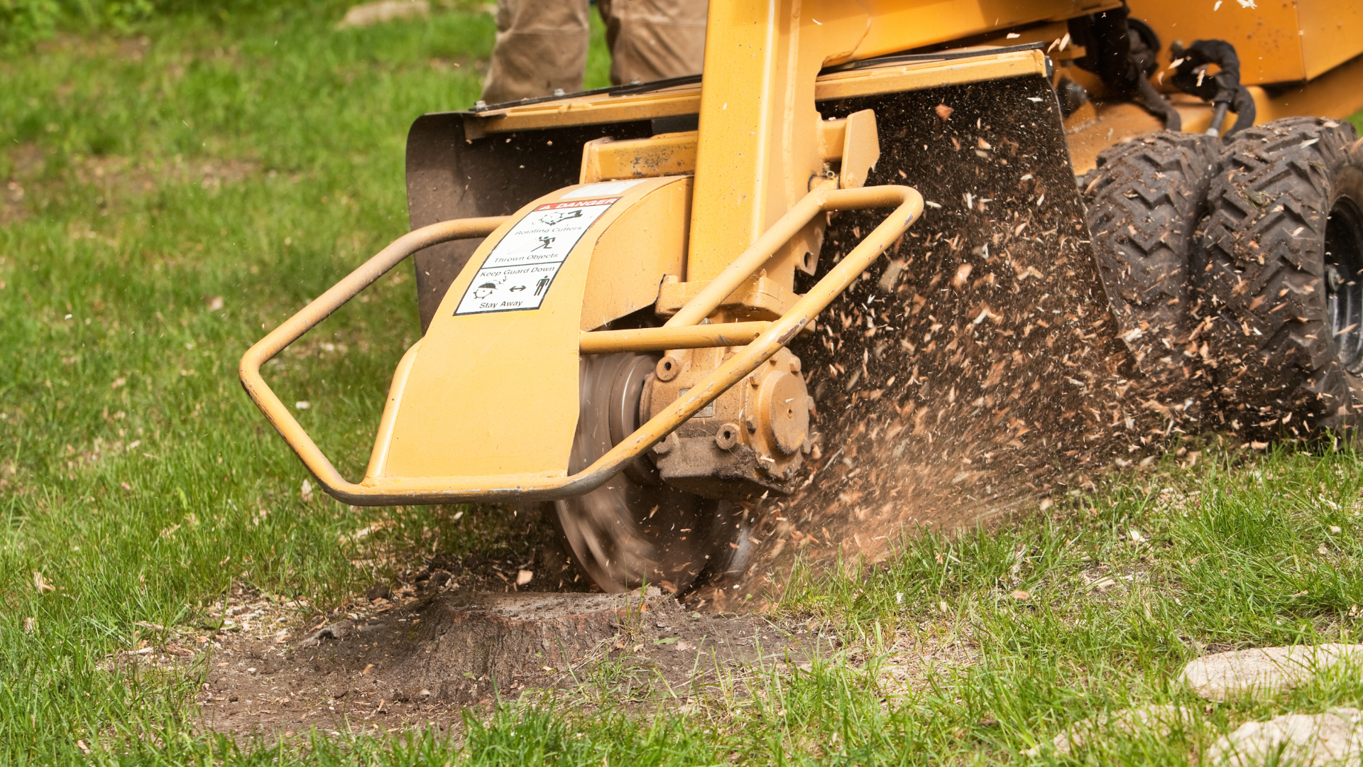 A person is using a stump grinder to remove a tree stump.
