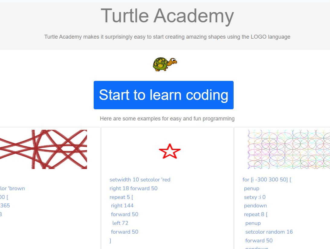 Turtle Academy