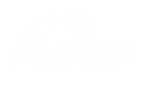 Accurate Medical Billing logo