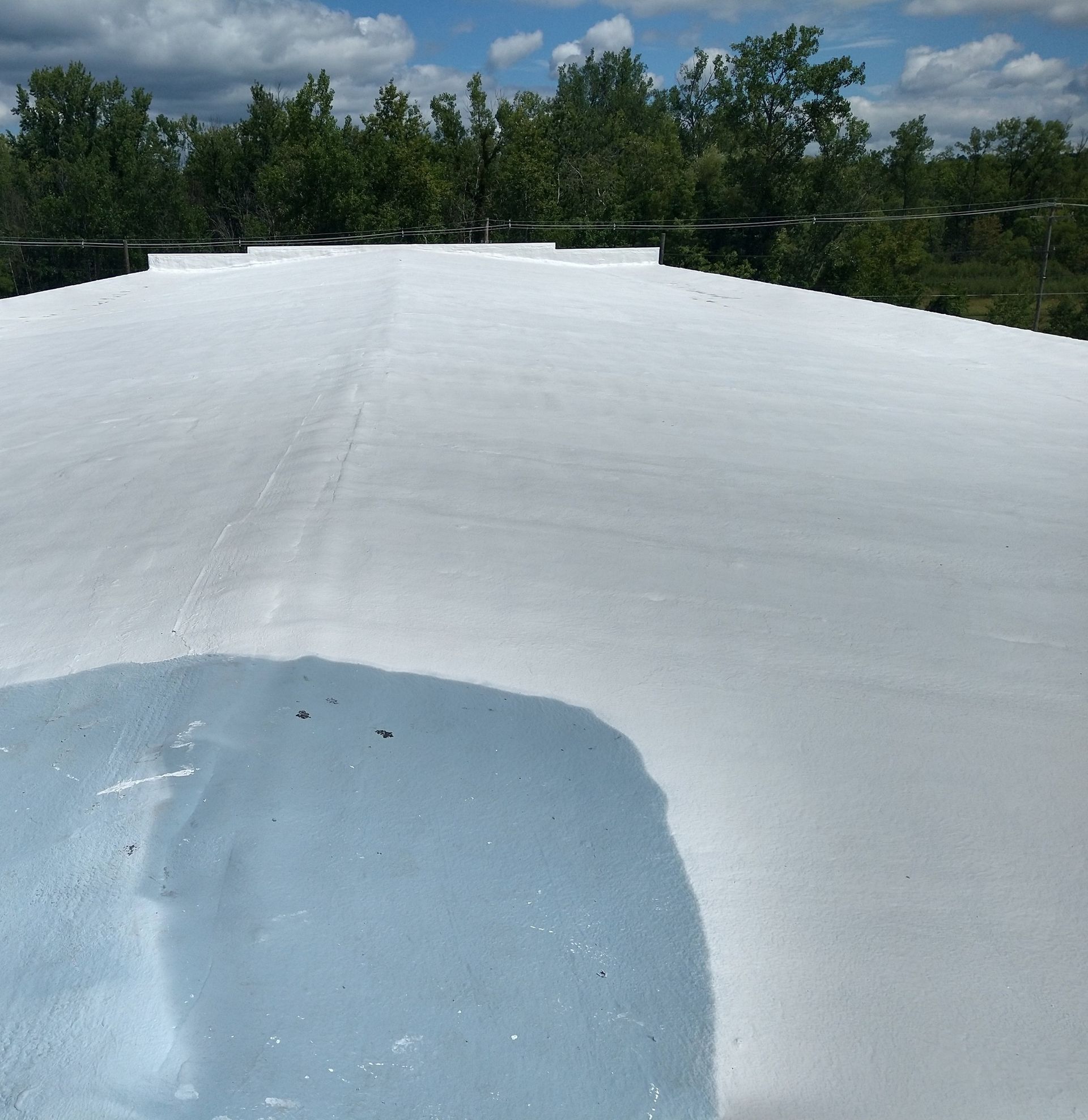 A large white roof with trees in the background