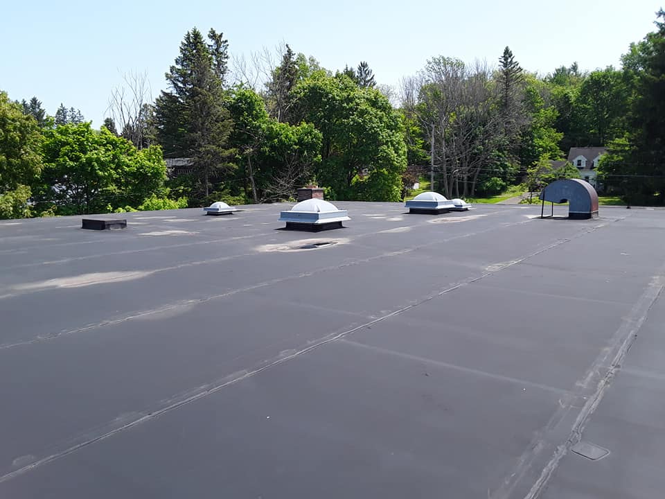 A roof with a lot of skylights on it and trees in the background.