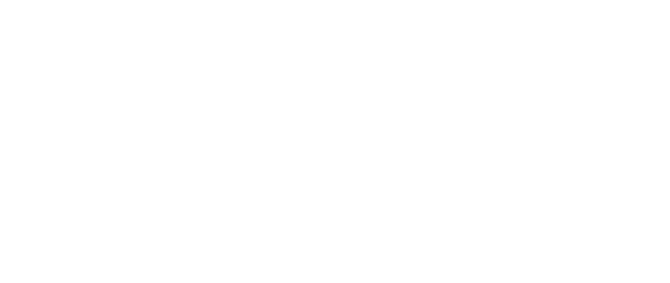 Blank white image with a thin gray line near the bottom