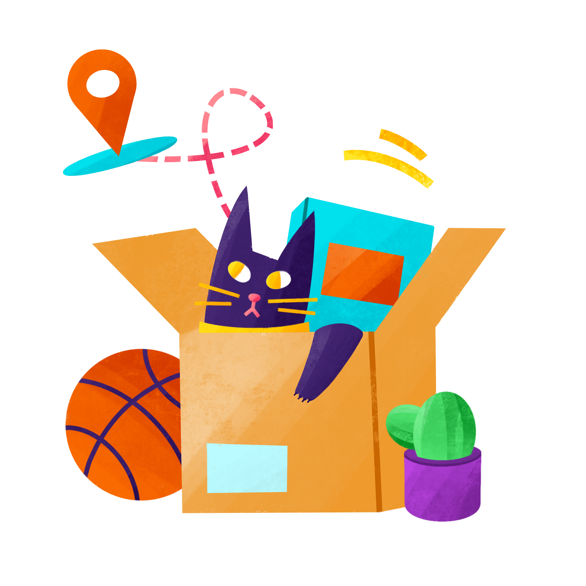 Un gatto è sdraiato in una scatola di cartone con un pallone da basket e un cactus.