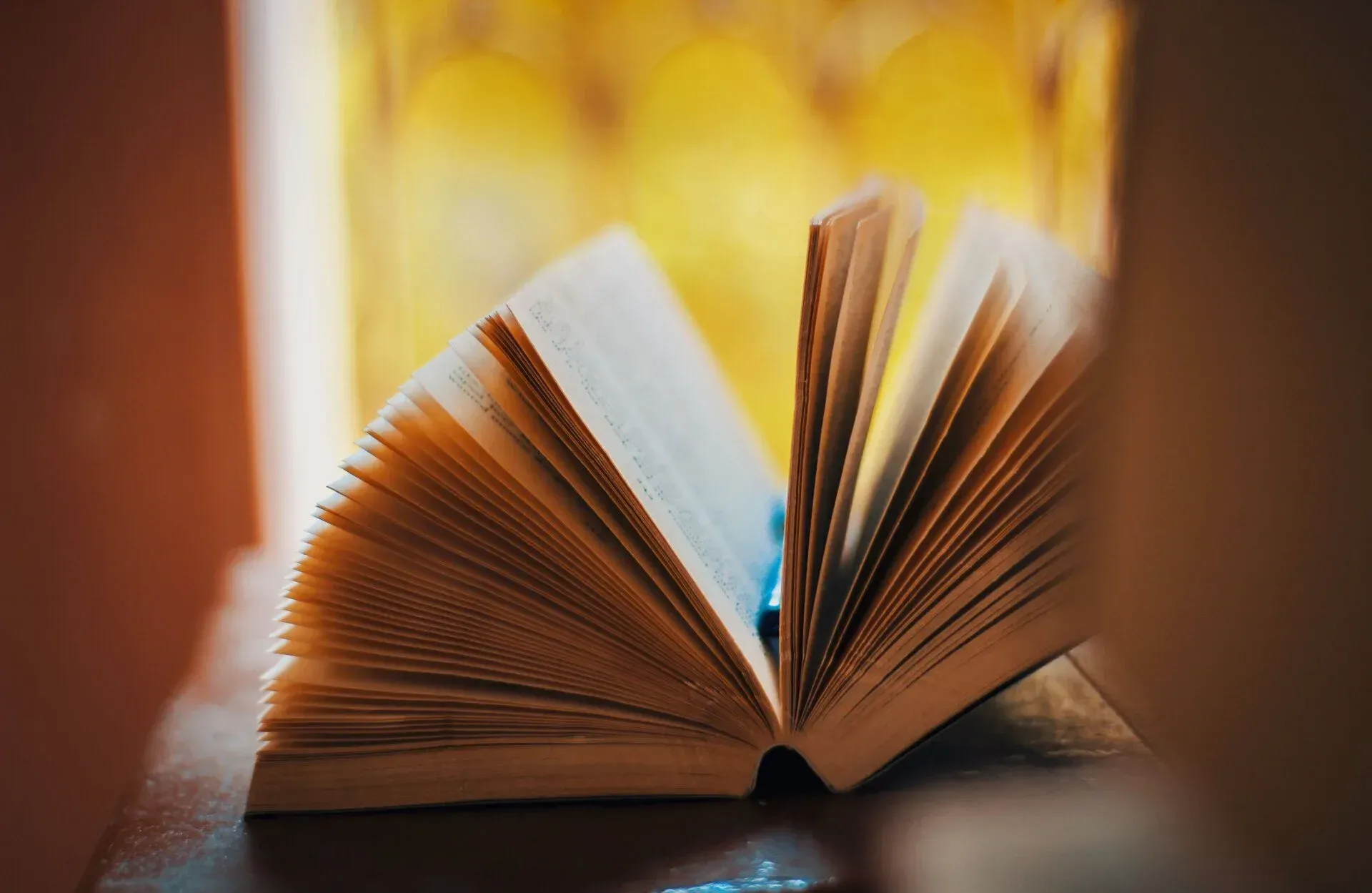 un primo piano di un libro aperto su un tavolo .