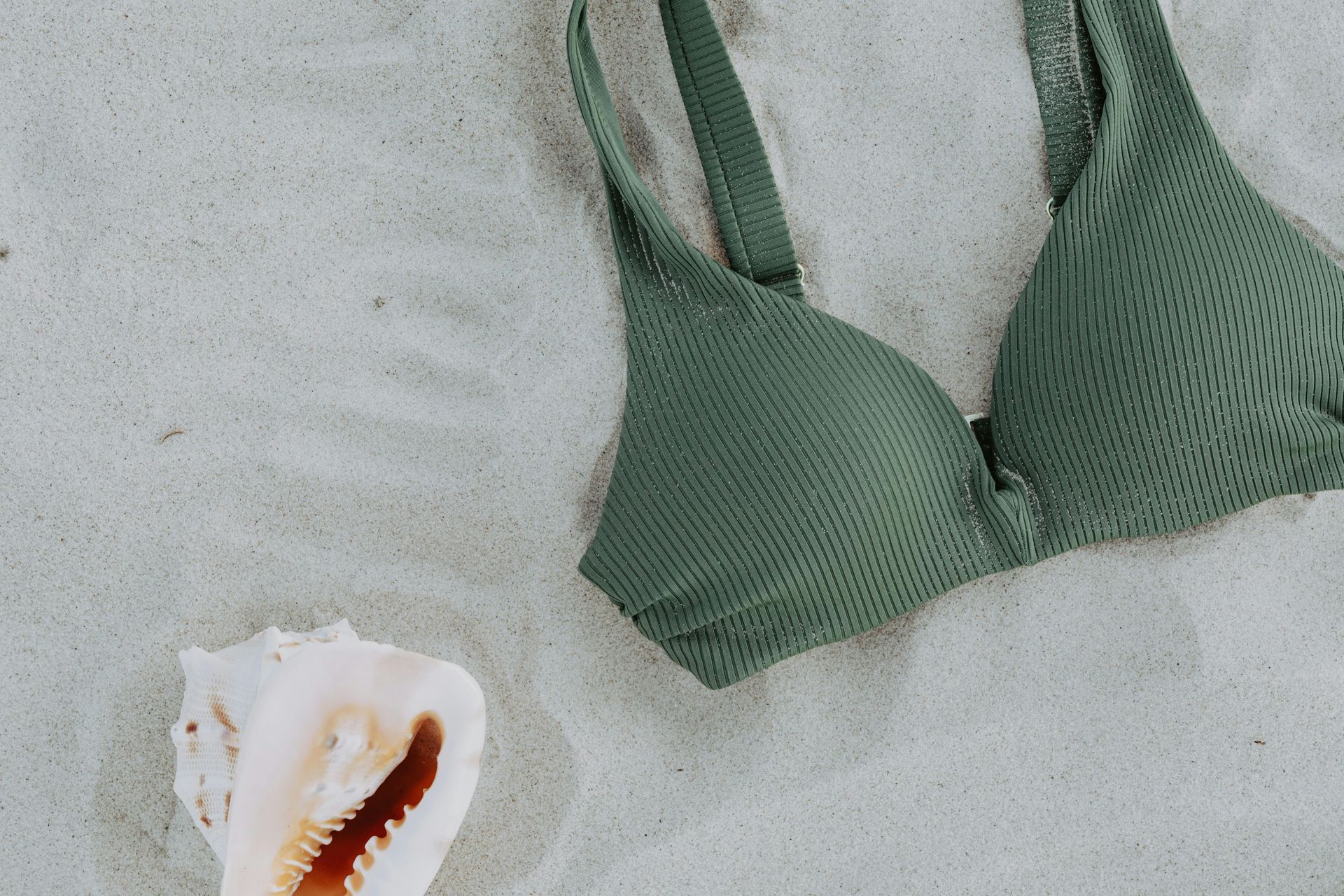 Green bikini top and seashell on light sand