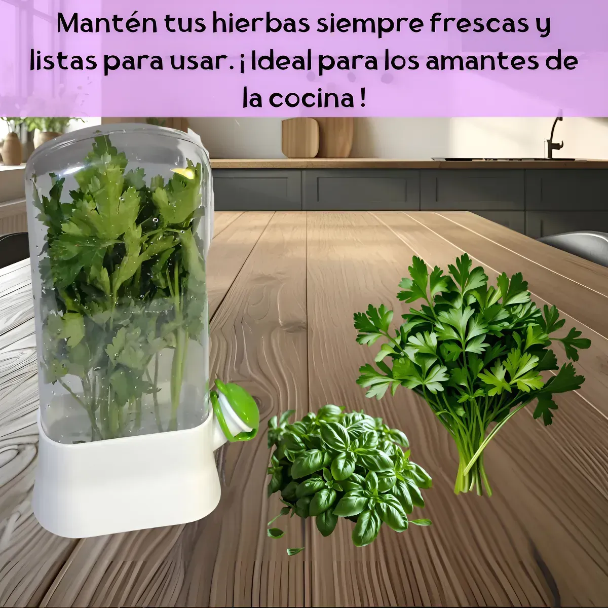 Set Cocina Huevera Apilable x2 un + Conservador Hierbas Frescas