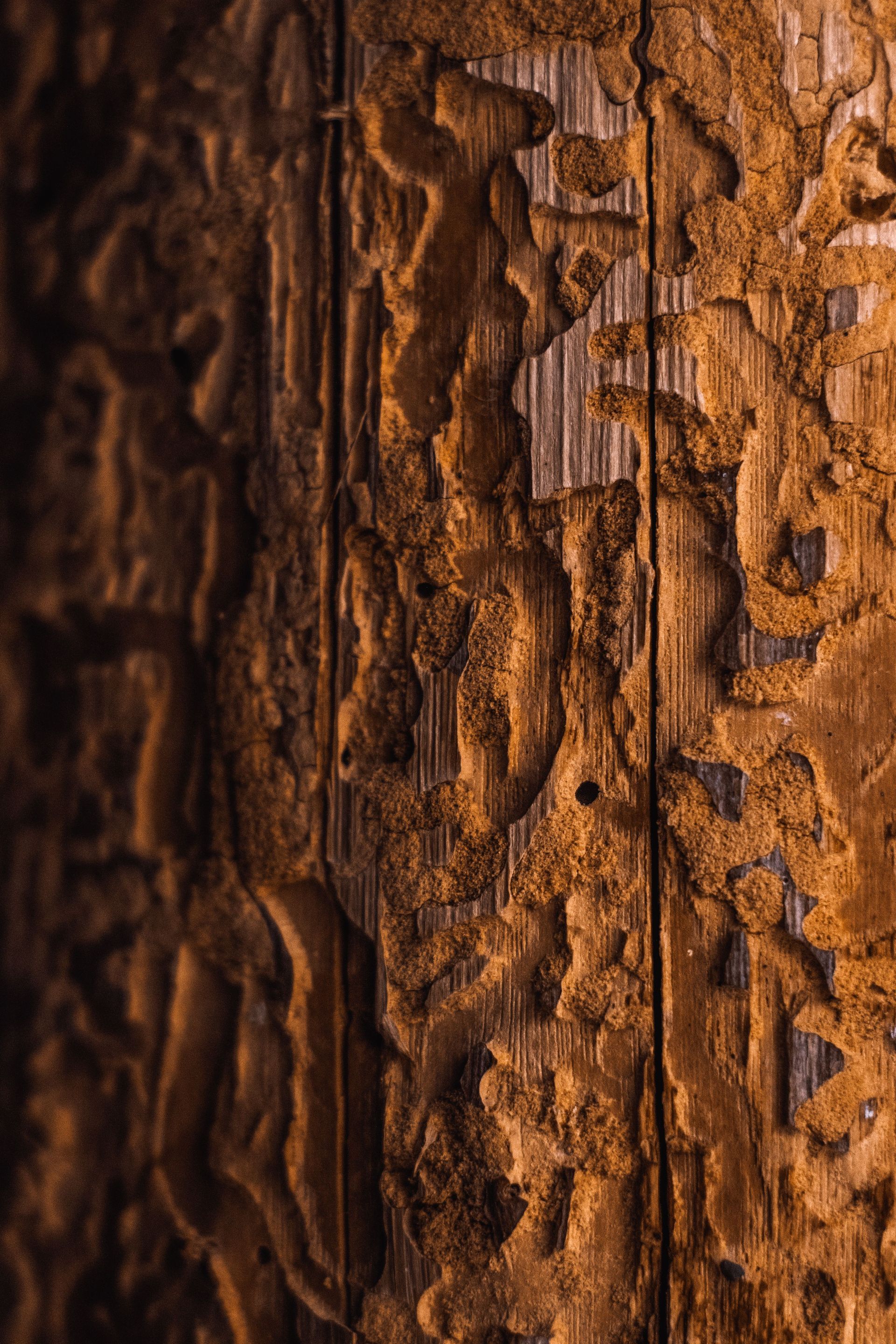 Close-up of weathered brown tree bark with vertical grooves and rough texture