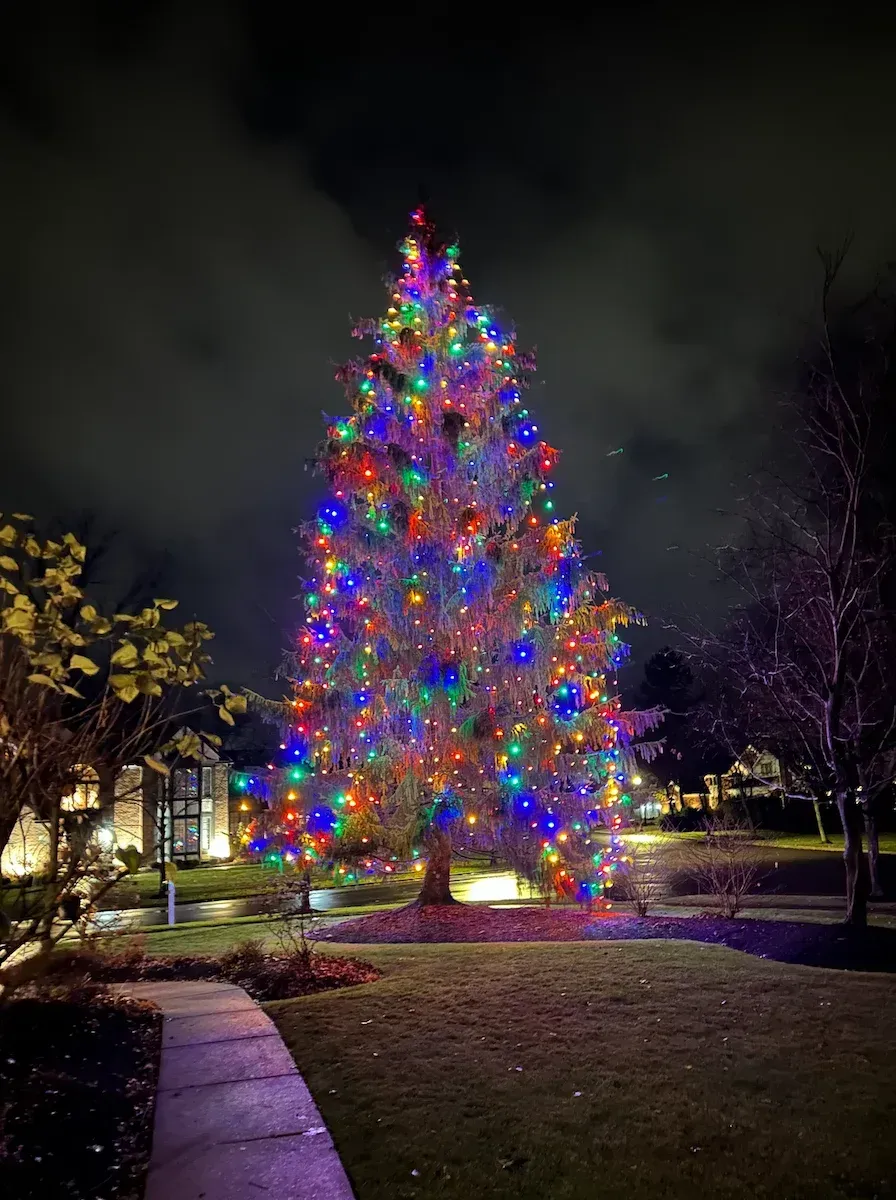 Large outdoor Christmas tree lit with colorful lights at night.