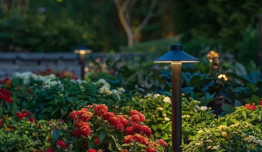 Garden bed with red, white, and green flowers illuminated by landscape lighting at dusk.