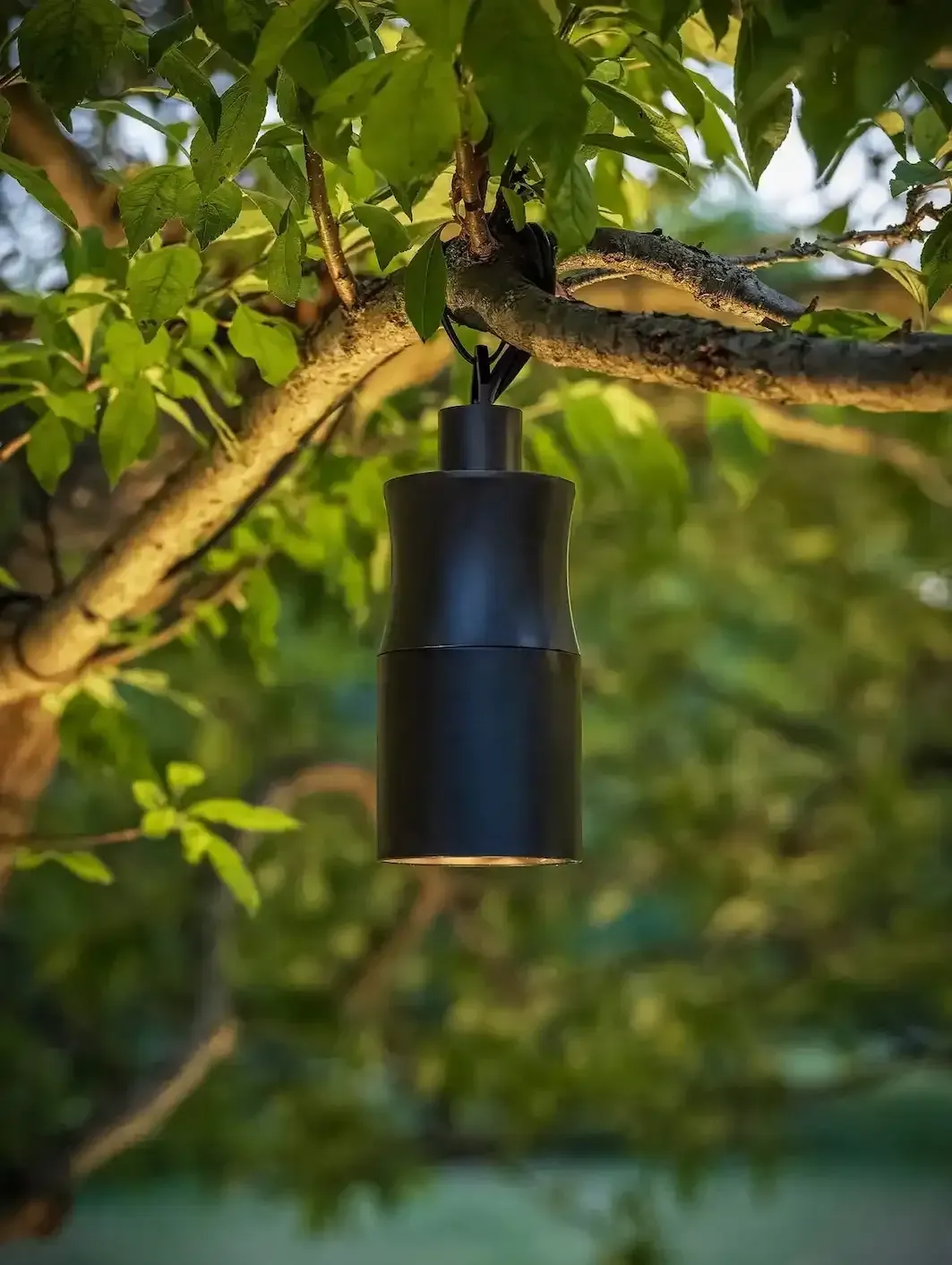 A dark cylindrical outdoor lantern hanging from a tree branch; green foliage.
