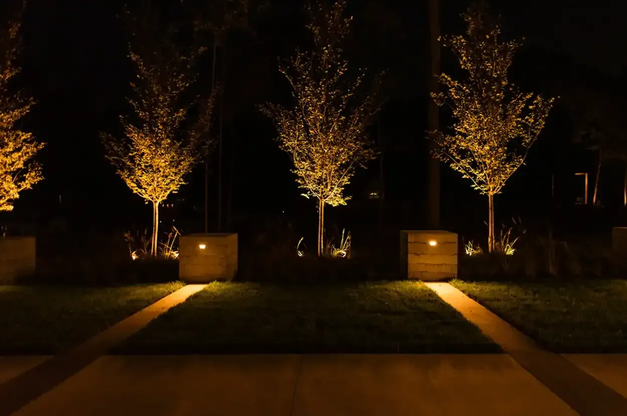 Trees lit up with golden lights at night; stone planters and walkway in the foreground.