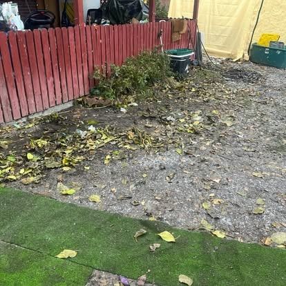 A backyard with a red fence and a pile of leaves on the ground.