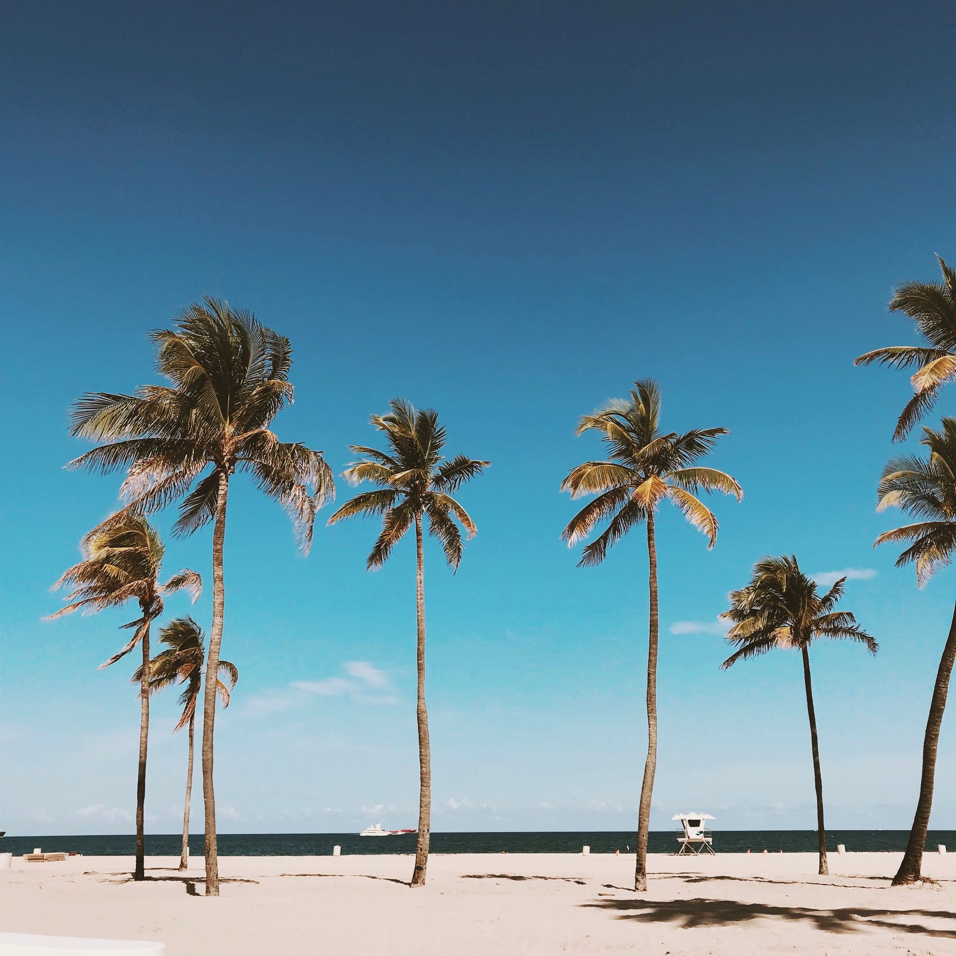 Florida Tax Proposal 