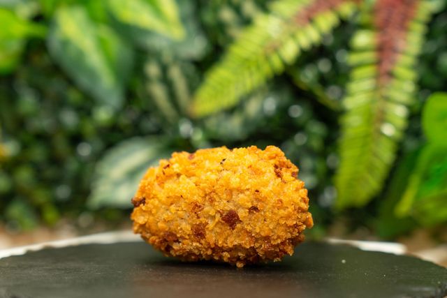 Snack dorato e fritto su un piatto scuro, con una vegetazione verde sfocata sullo sfondo