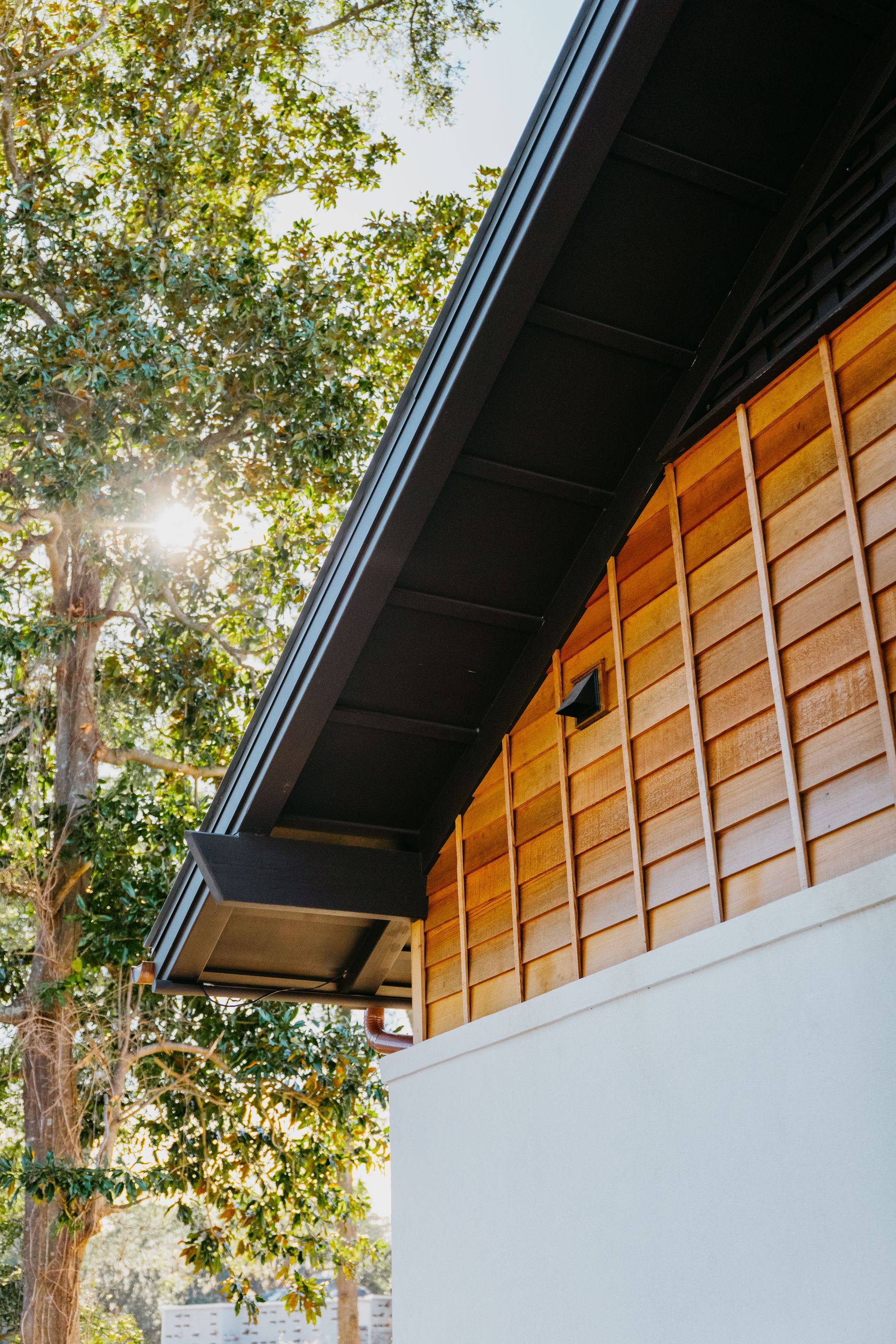 Sunlit wooden building exterior with trees and a slanted dark roof under a bright sky