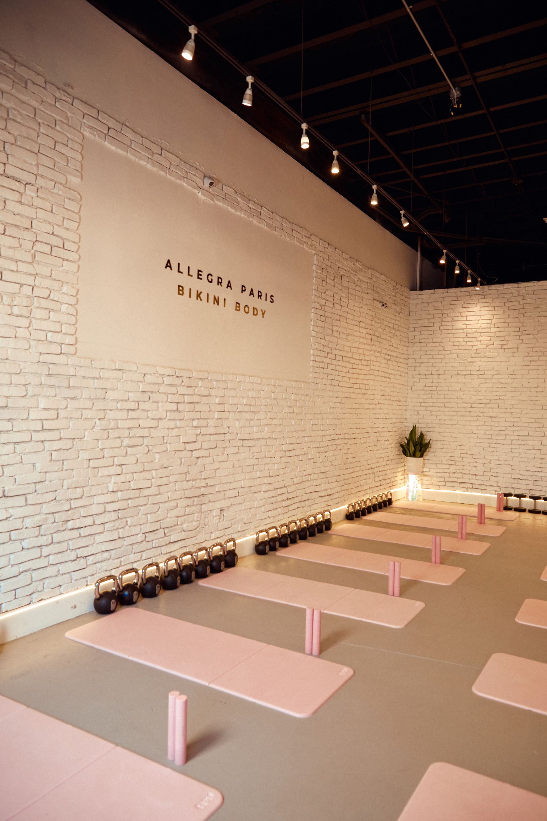 Allegra Paris in a bikini on the beach holding weights