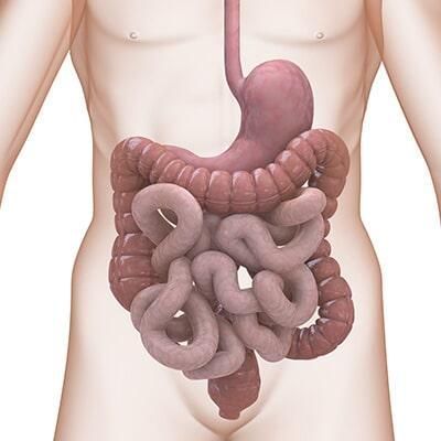 Coloproctología