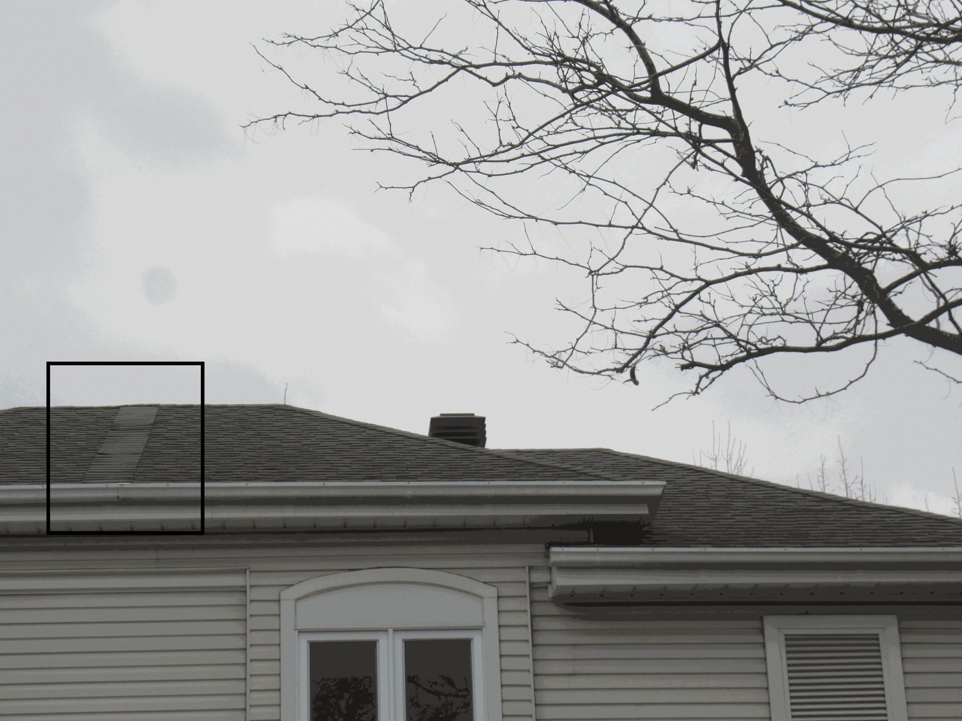 Toit d'une maison avec tuiles apparentes, gouttières et un arbre nu sur un ciel nuageux.