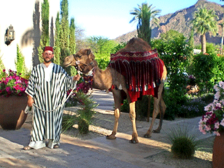 Man in striped robe with camel wearing decorative blanket; Arizona desert setting.