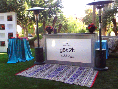 Outdoor bar setup with heaters and a rug;