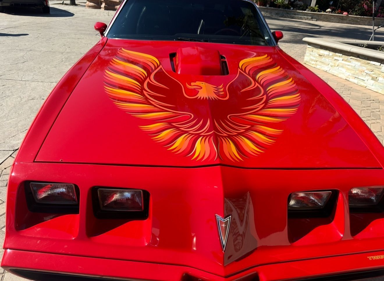 Red car hood with a large orange phoenix graphic and four square headlights