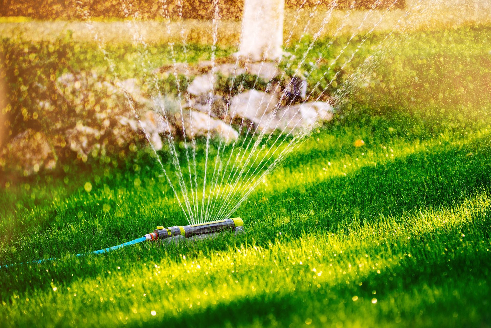 attrezzature per giardinaggio Atena Lucana
