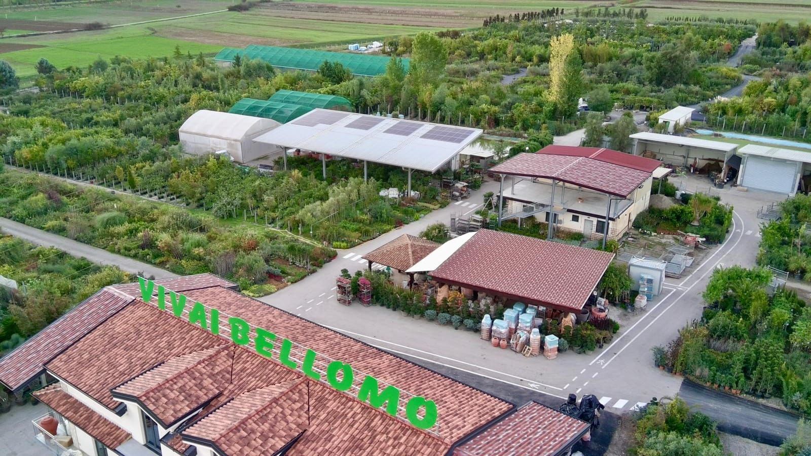 vivai bellomo, piante giardino