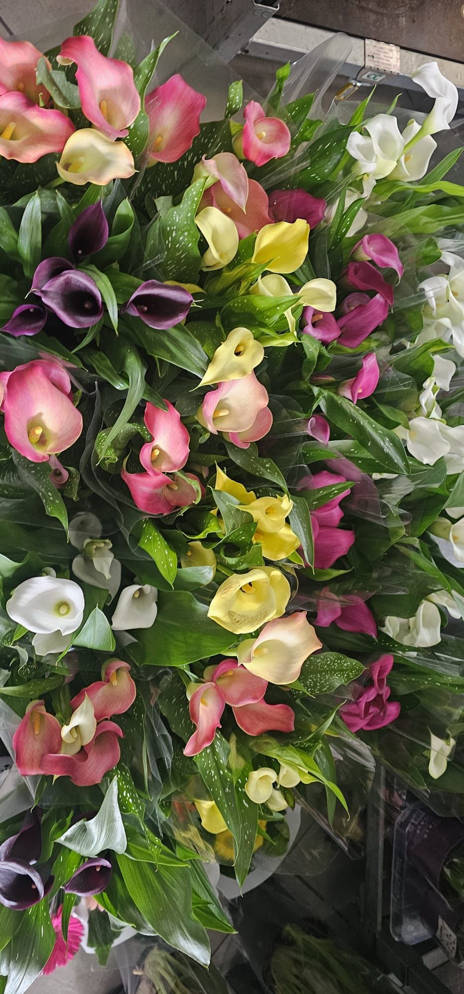 Un bouquet di fiori rosa, gialli e viola con fogliame verde in un vaso