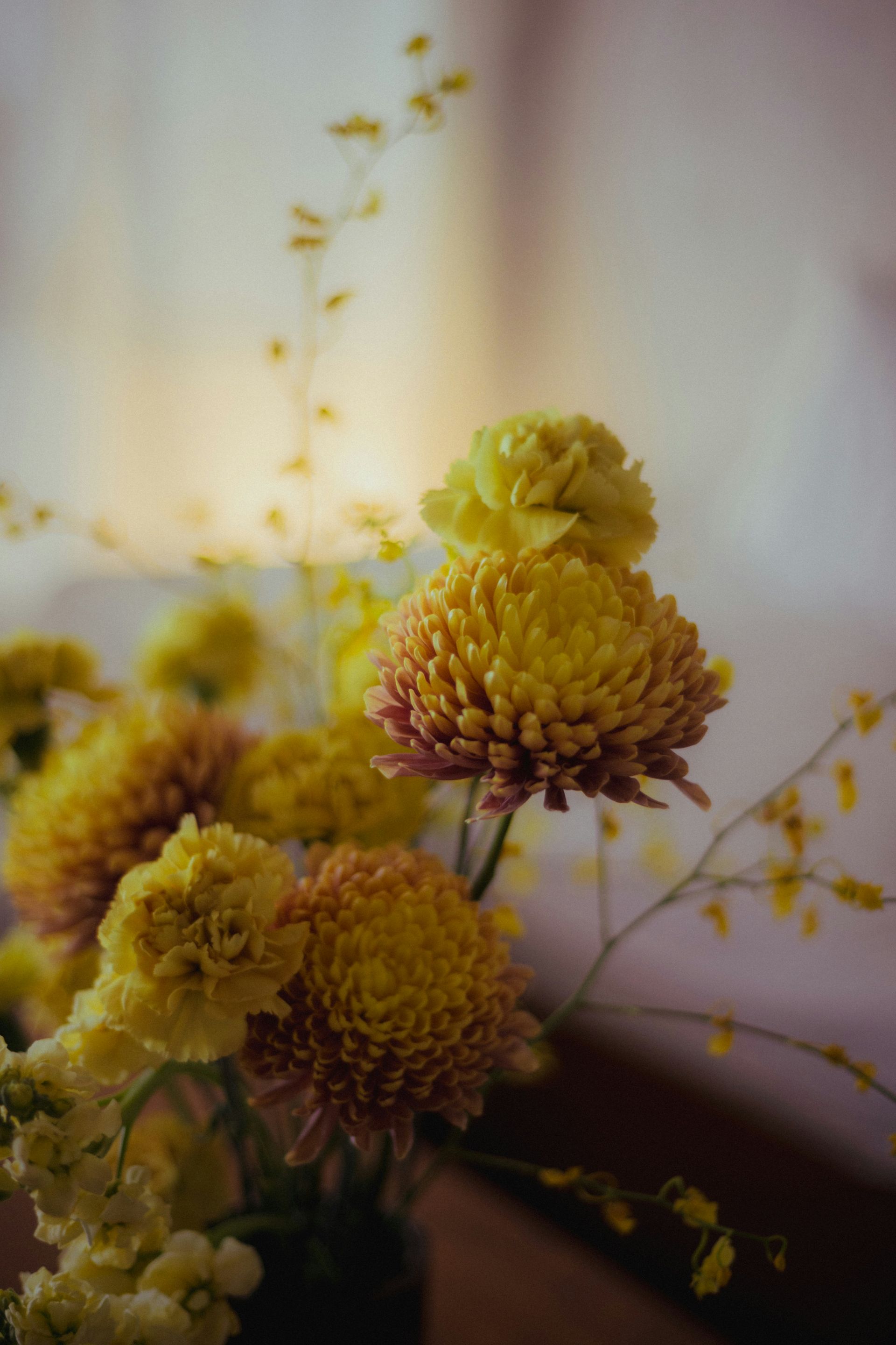Yellow flowers in a vase against a soft, blurred white background