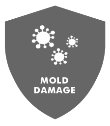 A gray shield icon containing white illustrations of mold spores with the text 