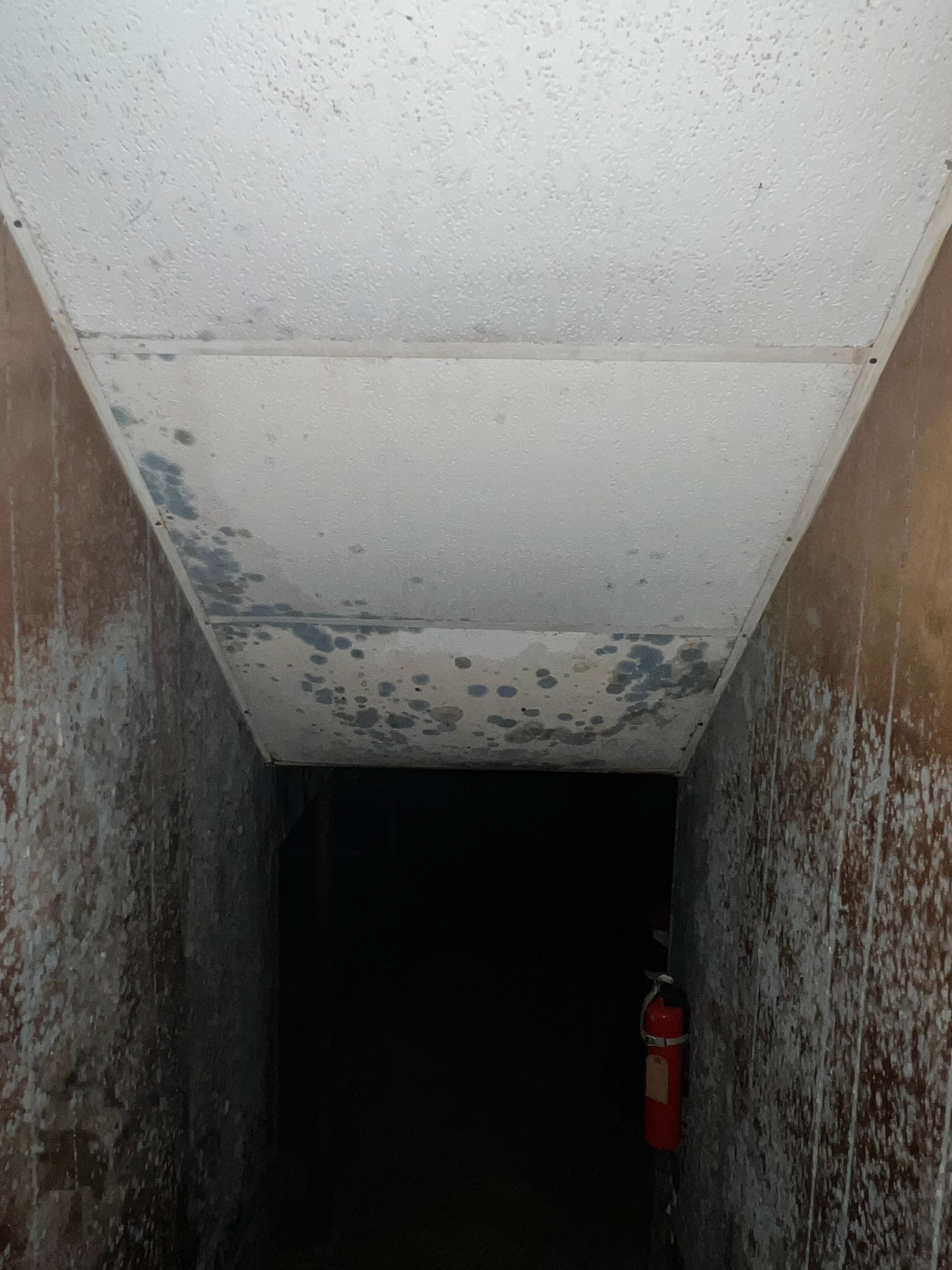 A dimly lit narrow corridor with peeling paint on the walls and ceiling, and a red fire extinguisher on the right wall.