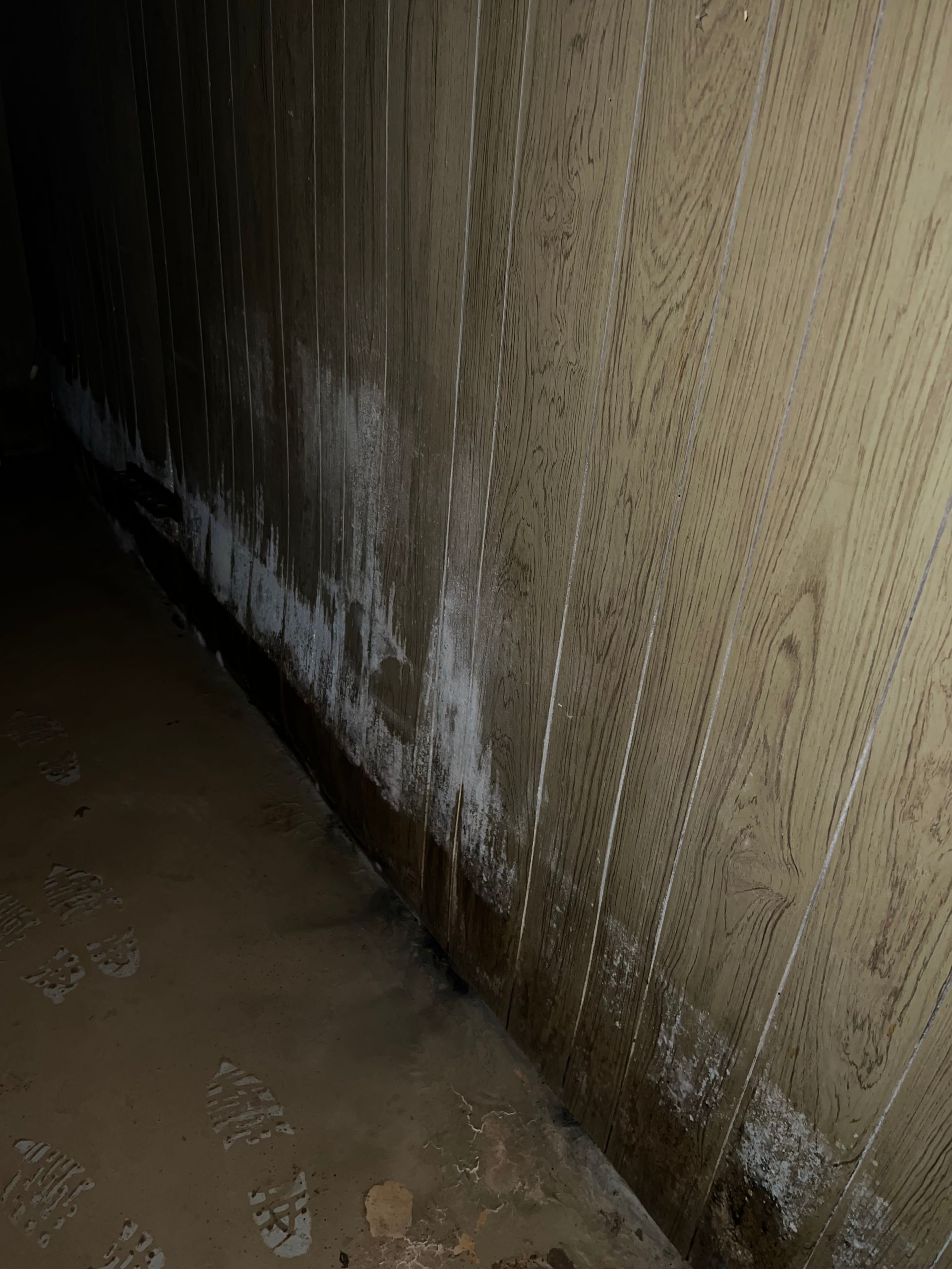 A dark, basement-like corner with wood paneling exhibiting white, powdery efflorescence and water damage along the base.
