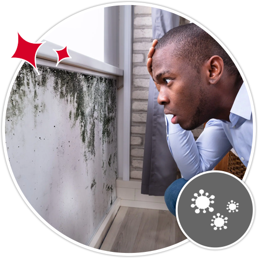 A person looks with concern at a wall covered in dark mold patches near a window, with a small icon depicting microorganisms.