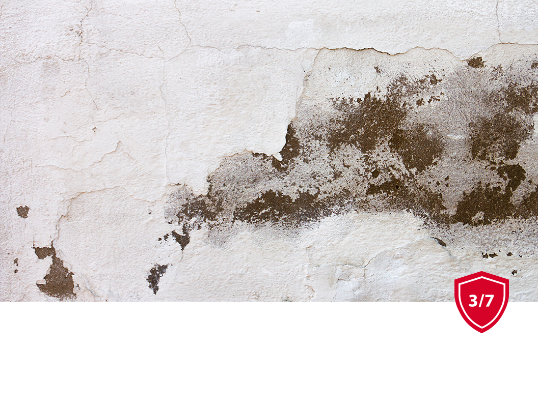 Damaged concrete wall with large dark patches of water staining and peeling, textured paint.