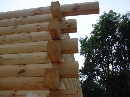 Close-up of log cabin wall construction with interlocking wooden logs and a forest backdrop.