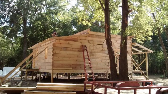 Cabin under construction, wooden logs, ladder, tree, outdoor setting.