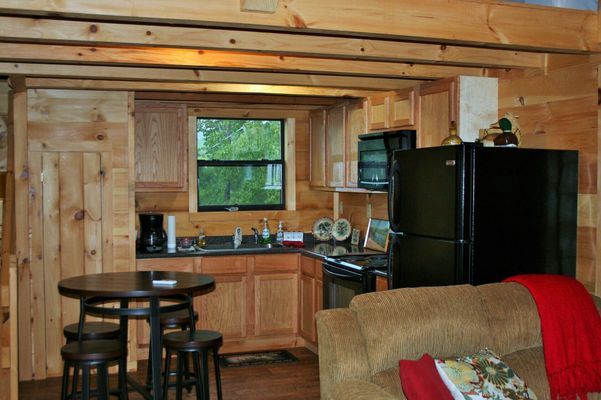 Cozy cabin kitchen with wood paneling, dark appliances, small round table, and a window overlooking greenery.
