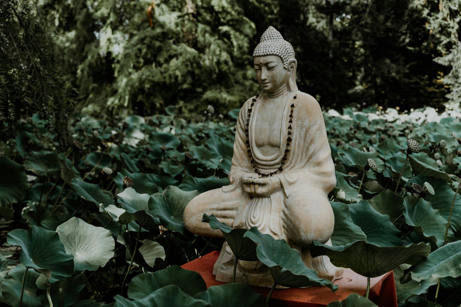 Bienfaits du yoga