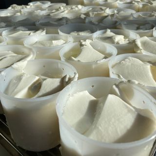 Tastets de formatge del Ripollès