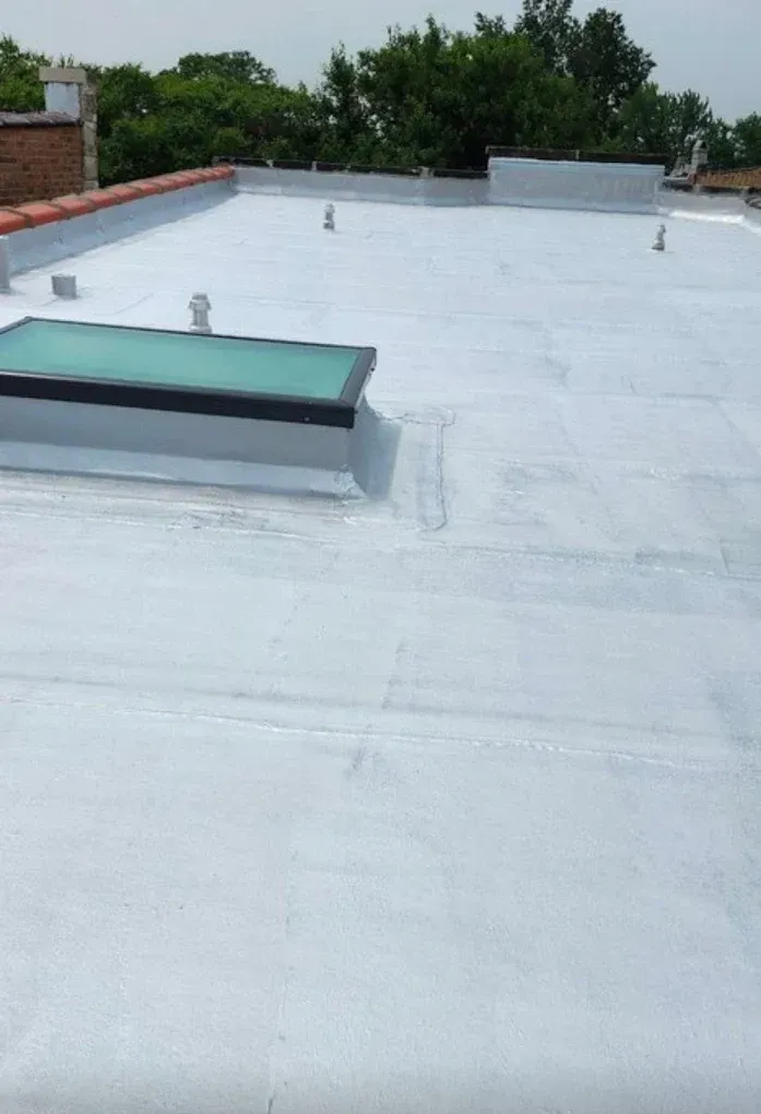 Flat white rooftop with two skylights and trees in the background