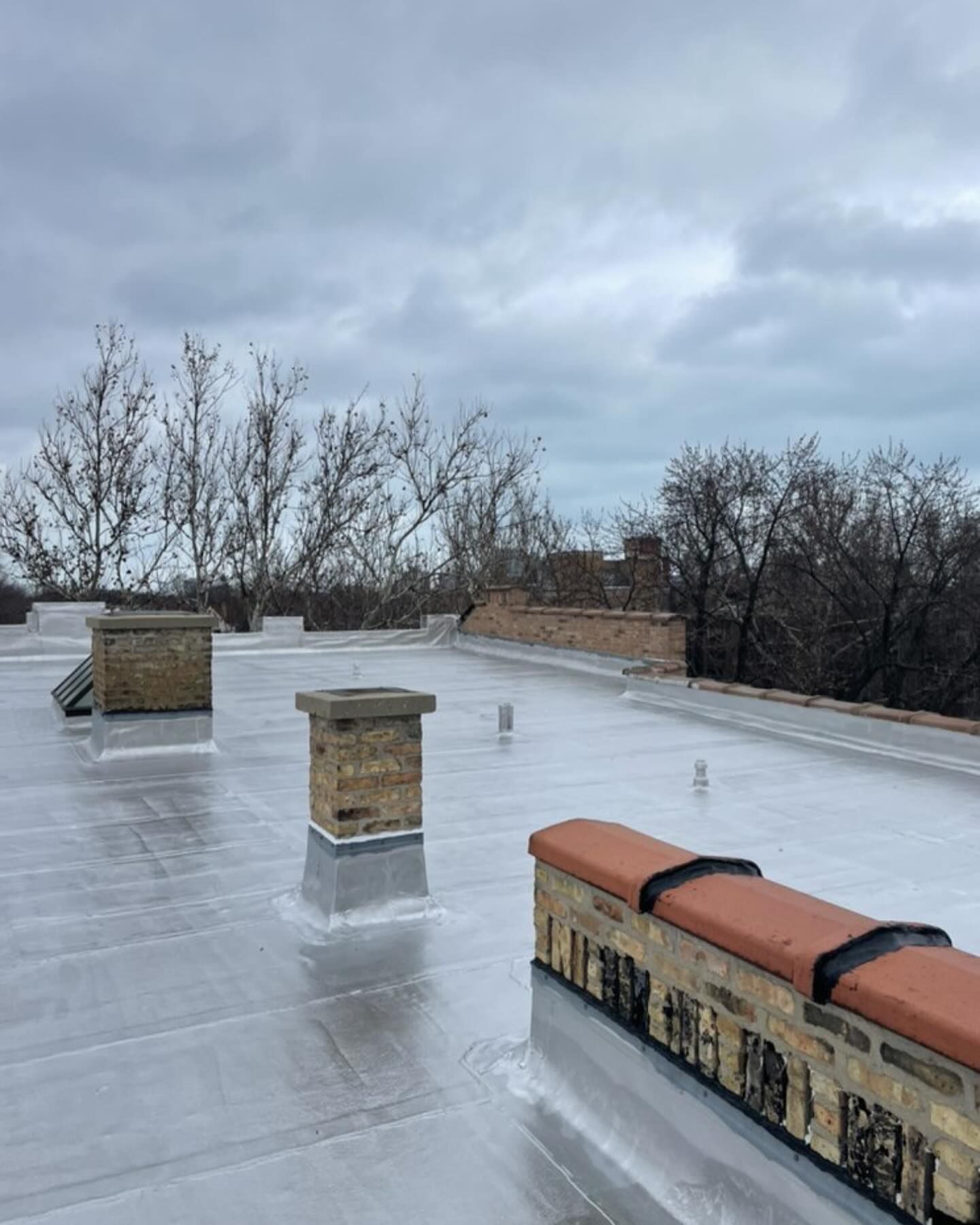 Rooftop with wet reflective surface, brick chimneys, and bare trees under a cloudy sky.