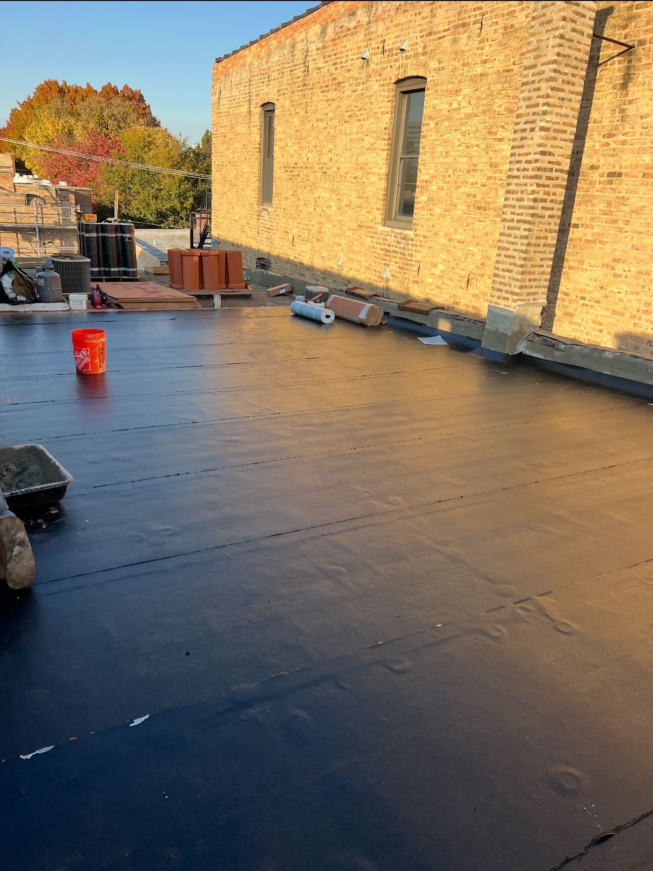 Rooftop with black surface, brick wall, and trees glowing in warm sunlight.