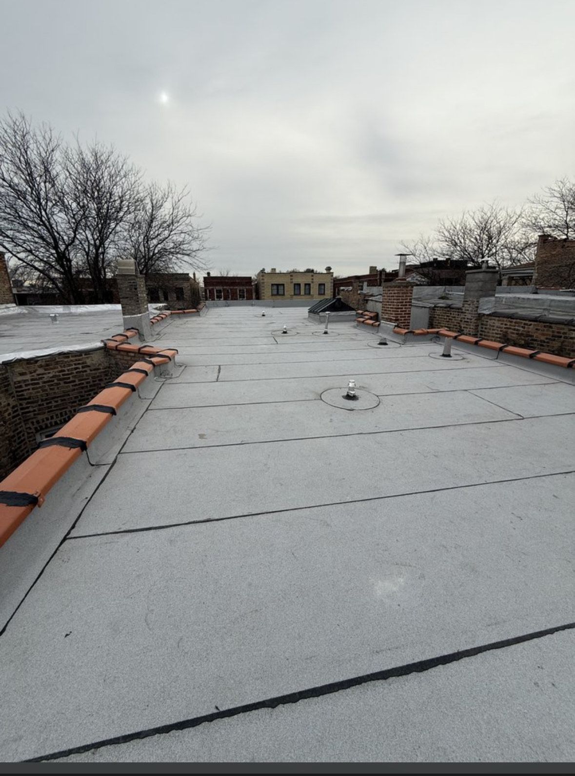 Flat gray rooftop under cloudy sky, with brick edging and leafless trees in the background.
