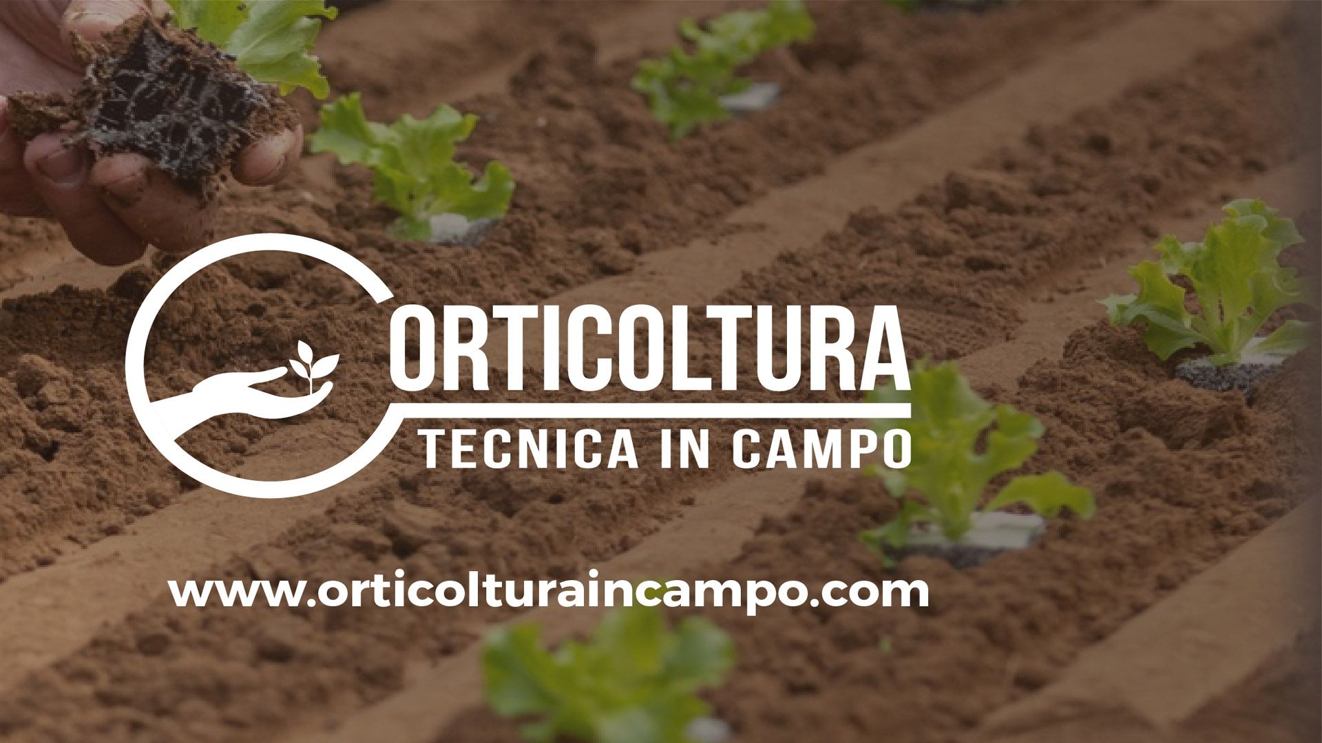 Orticoltura tecnica in campo 2024