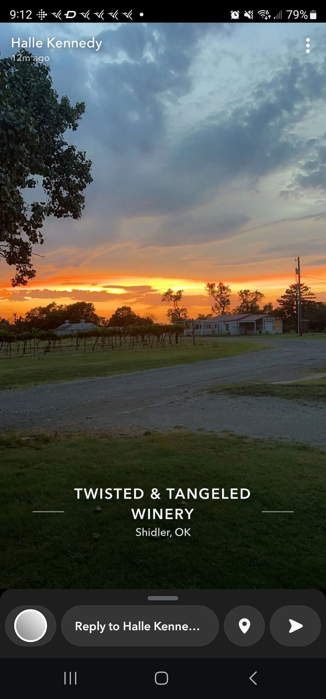 A phone screen shows a sunset over a vineyard.
