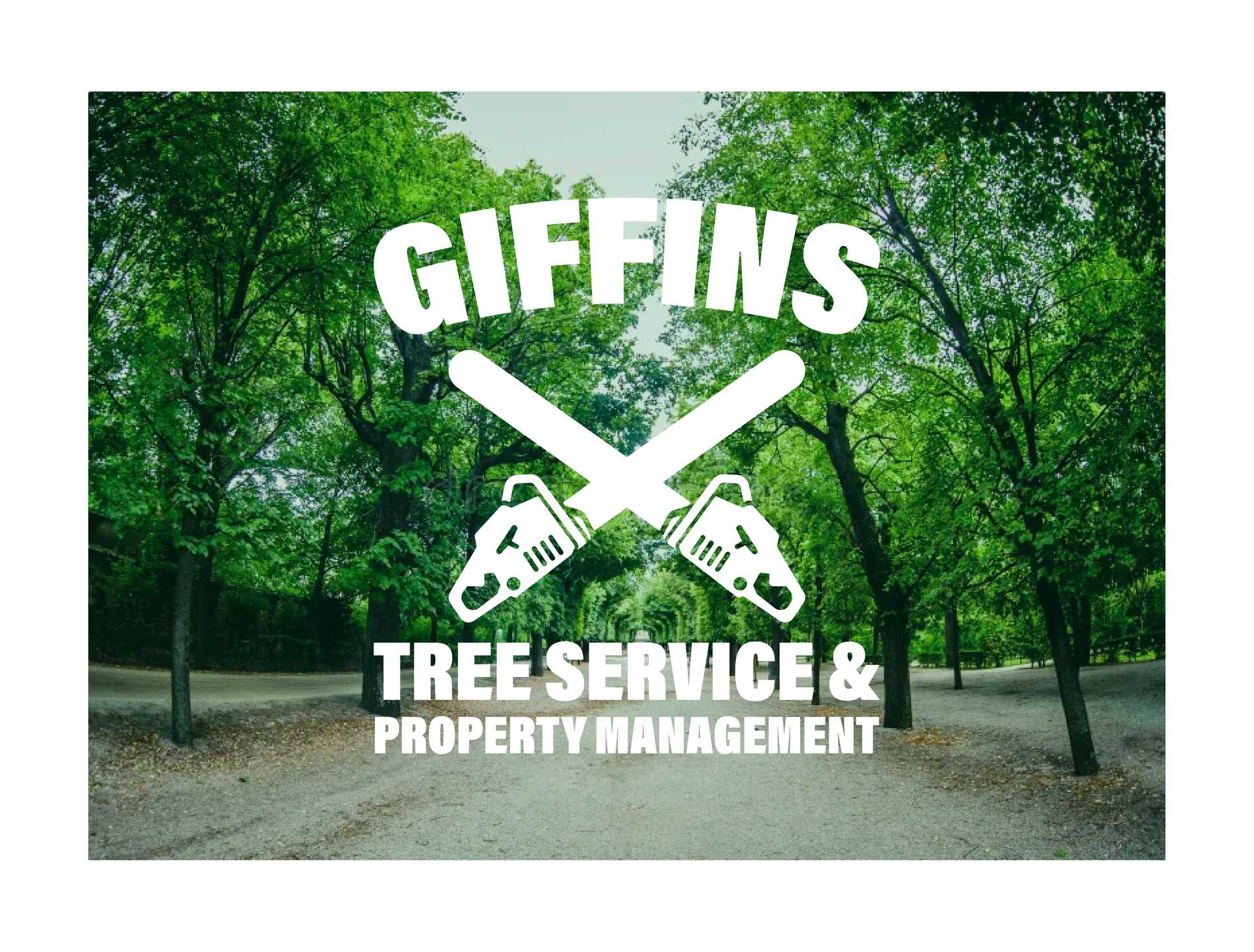 Giffins Tree Service & Property Management logo over a forest path; crossed chainsaws and text on a green background.