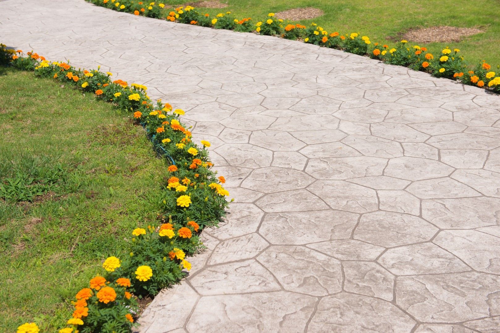 A concrete walkway with flowers on the side of it