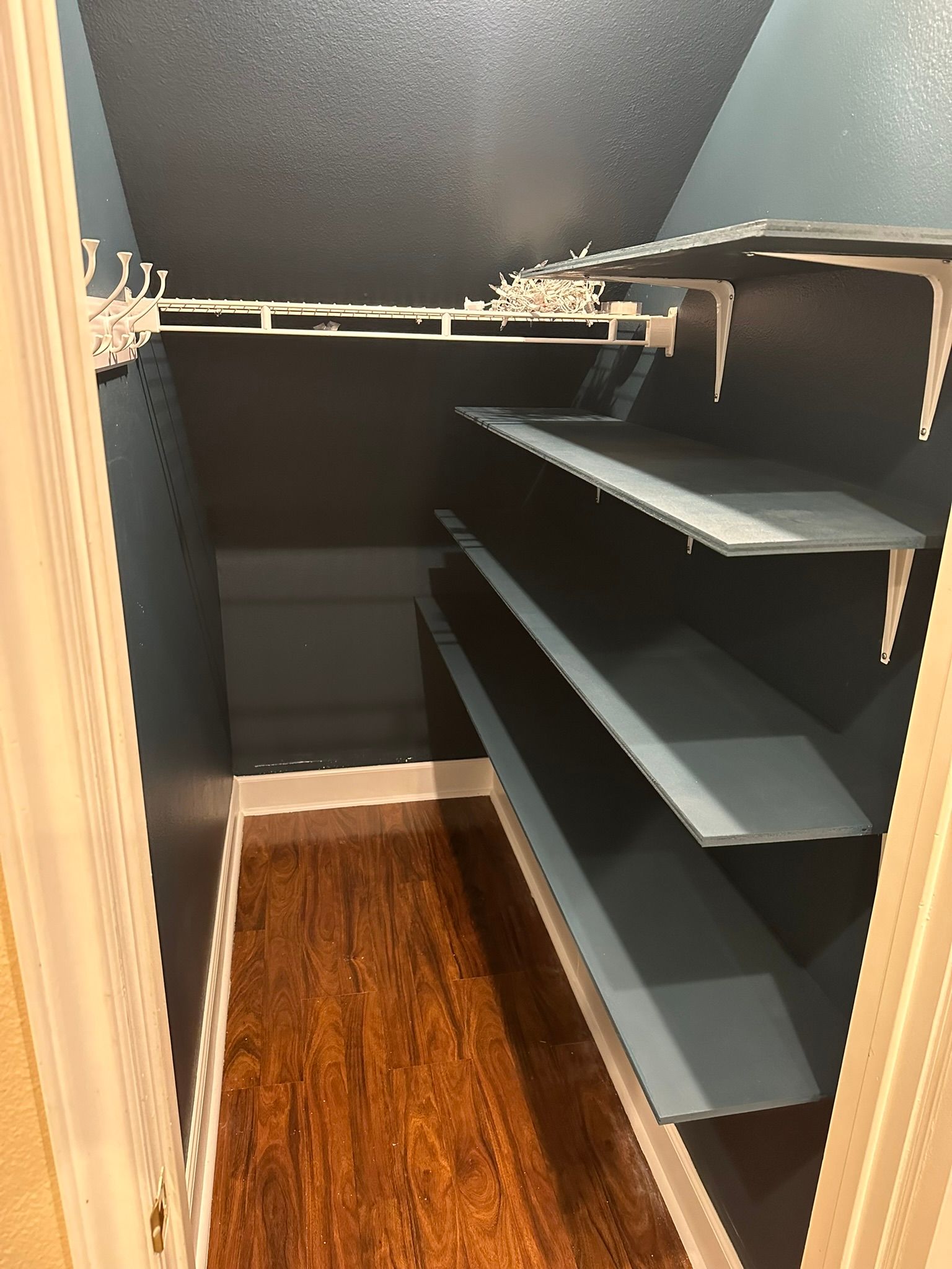 Small closet interior with blue walls, shelves, and wood-look flooring.
