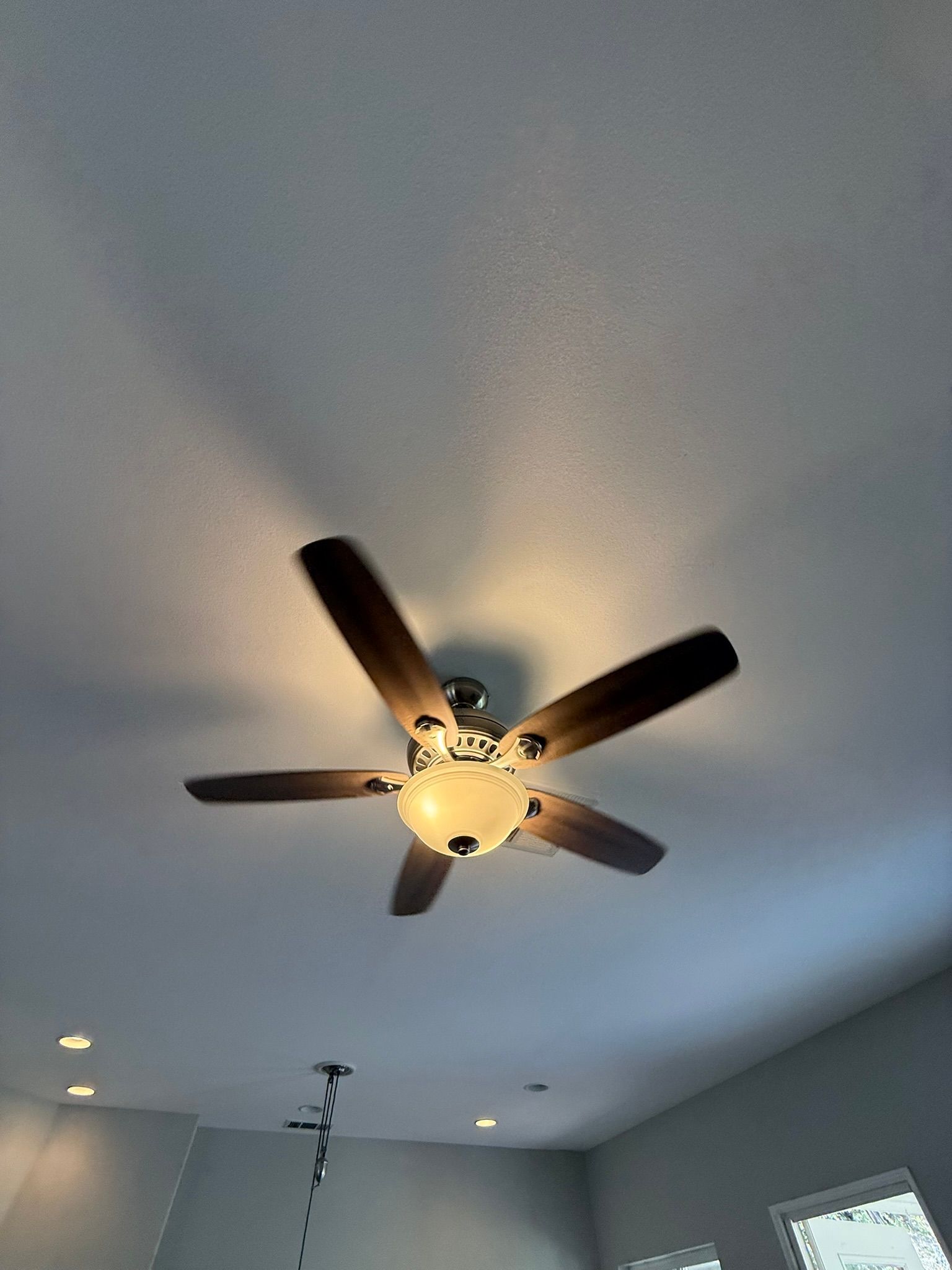 Ceiling fan with five dark brown blades and a central light fixture, mounted on a white ceiling.